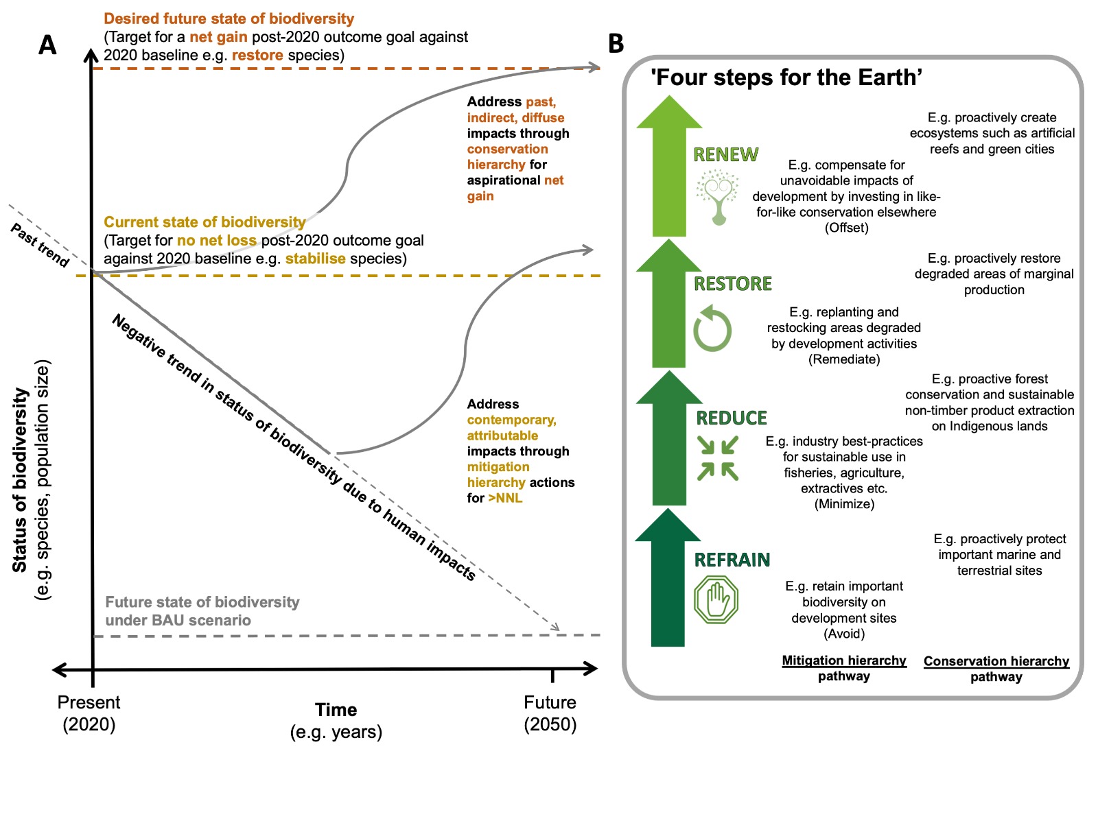 Everyone's going Nature Positive - but what does it mean? - ICCS