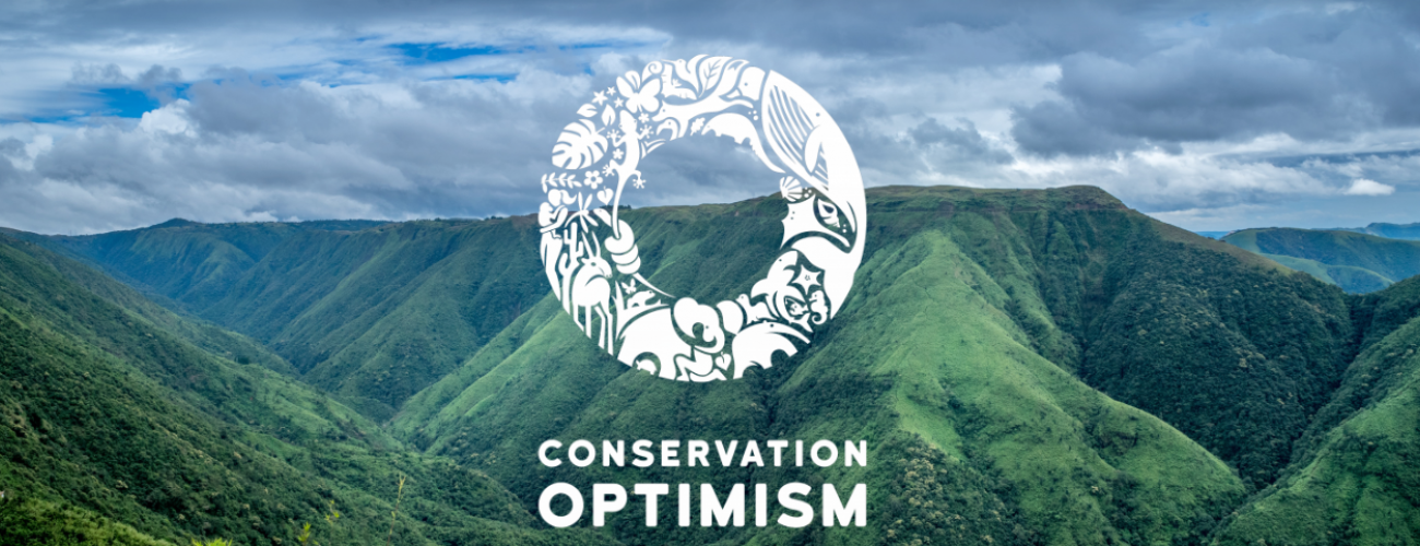 Conservation Optimism - ICCS